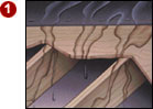 Ceiling Spots