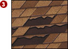 Missing Shingles