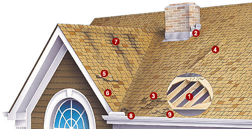 roof-warning-signs
